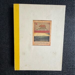 Surfing DVD one California day